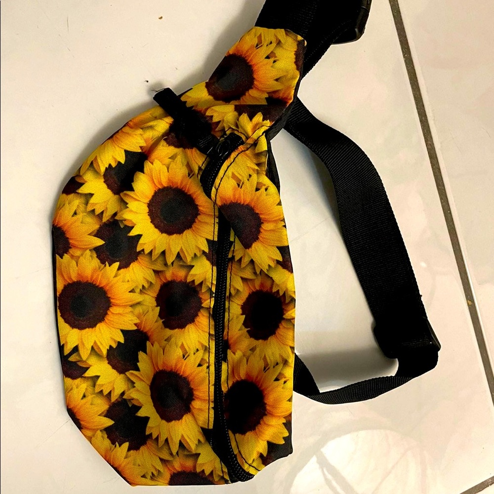 Fanny pack